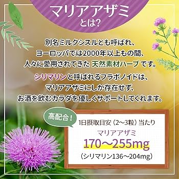 【中古】 化学療法/白水社/ミシェル・プリバ・ド・ガーリル Amazon | 【産婦人科医推奨】Nincal (ニンカル) 葉酸 サプリ 妊